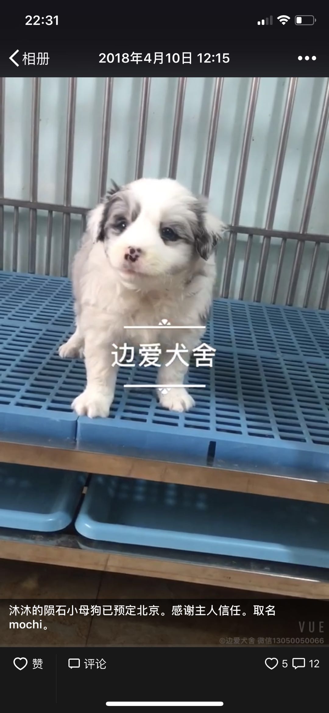 女孩