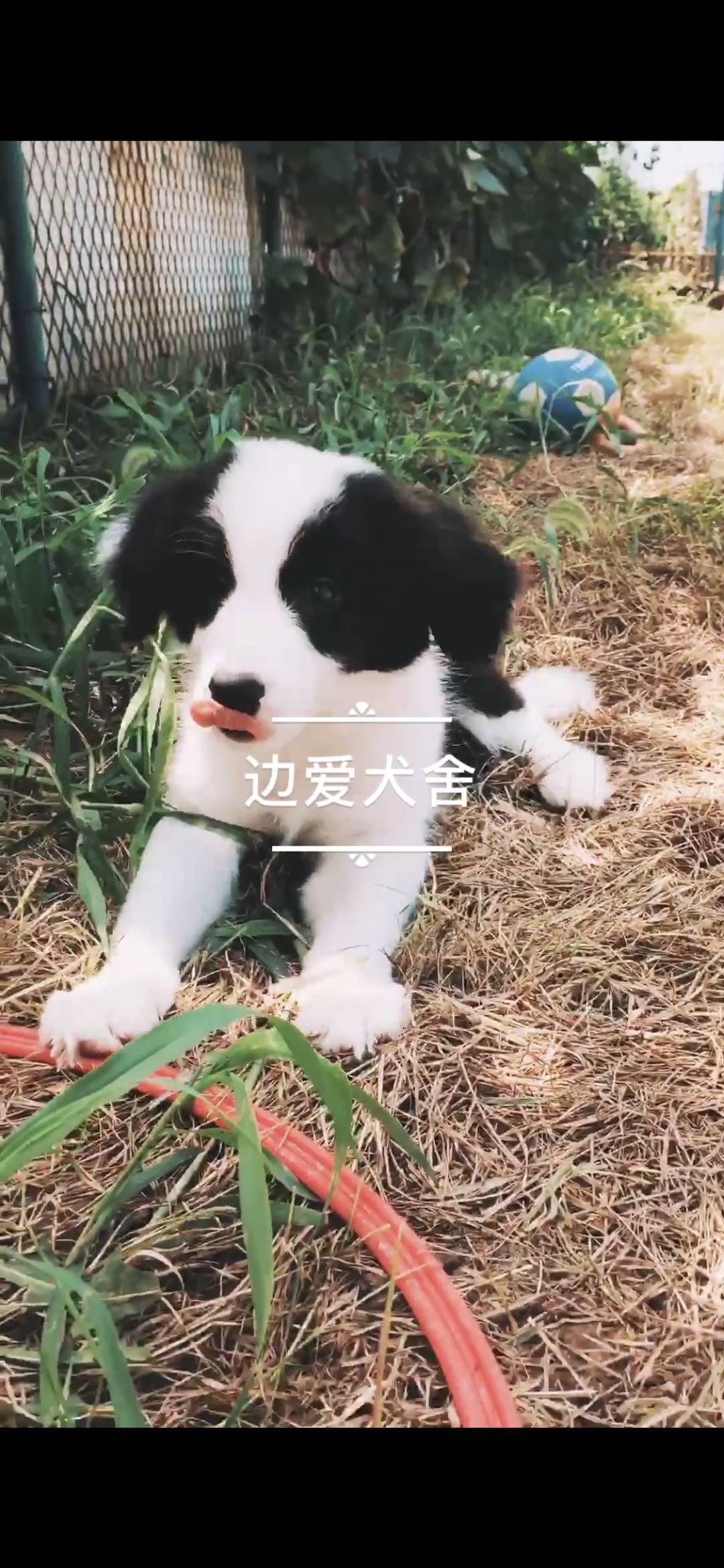 女孩