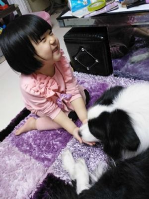 闹弟