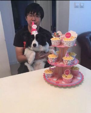 叶子三岁生日