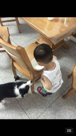 小伙伴
