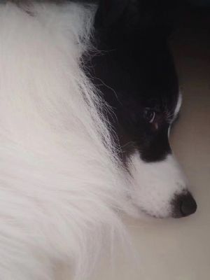 厦门的帅哥