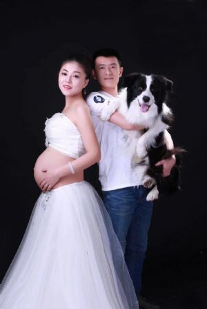 锡林郭勒的豆子